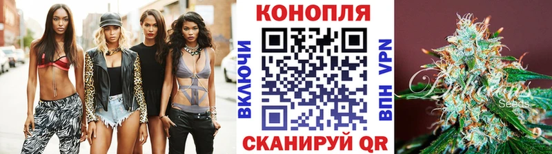 купить закладку  Волхов  Каннабис White Widow 